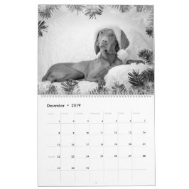 Magyar Vizsla Hunde Kalender black & white