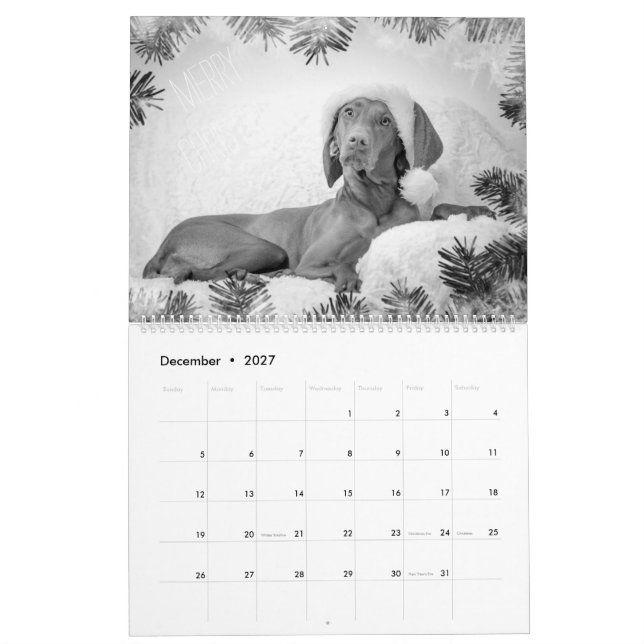 Magyar Vizsla Hunde Kalender black & white (Dec 2027)