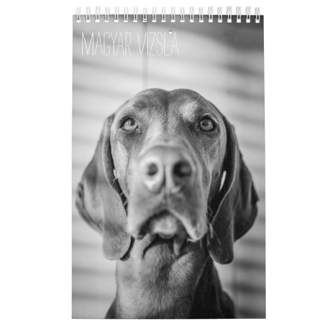 Magyar Vizsla Hunde Kalender black & white (Omslag)