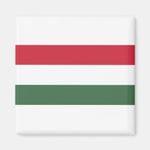 Magyarország - Ungerns Flagga Magnet