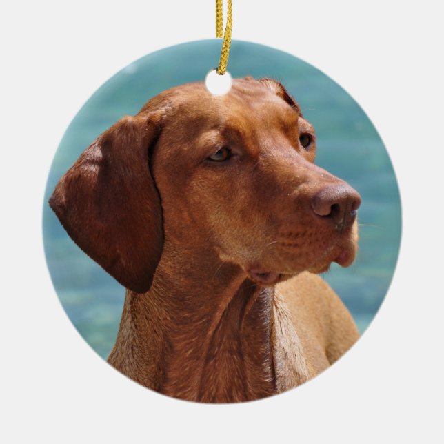 MagyarVizsla hund Julgransprydnad Keramik (Framsidan)