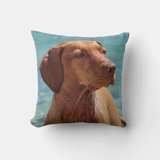 MagyarVizsla hund Kudde (Framsida)