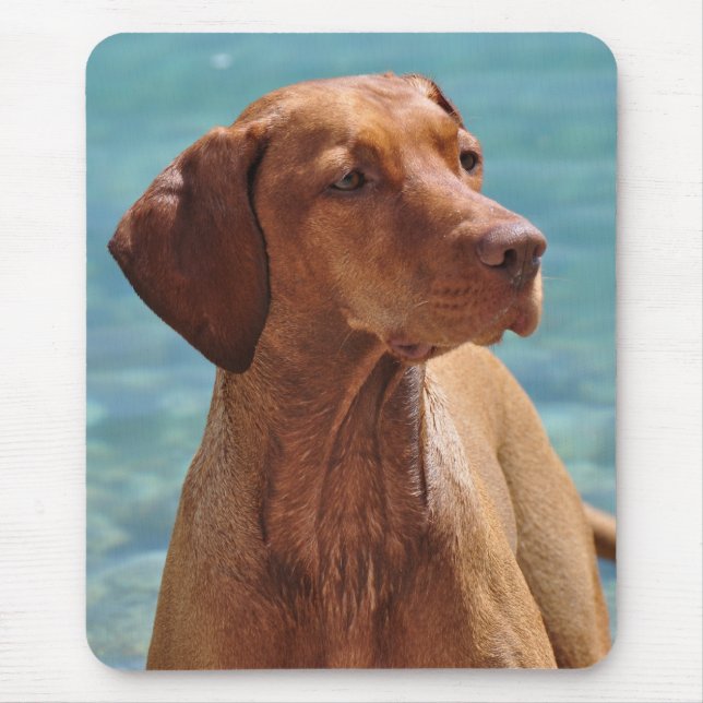 MagyarVizsla hund Musmatta (Framsidan)
