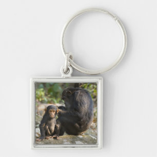 Mahale berg nationalpark, Tanzania Fyrkantig Silverfärgad Nyckelring