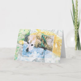 "Mahalo", Noble Technique skapat 1970 Kort