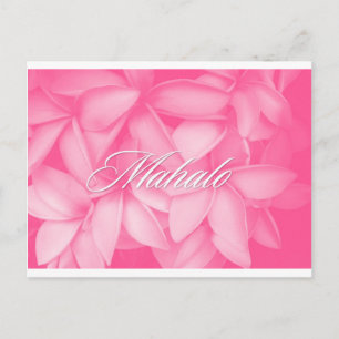 Mahalo Rosa Plumeria Card Vykort