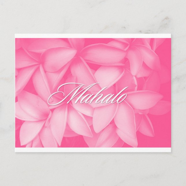 Mahalo Rosa Plumeria Card Vykort (Framsida)