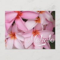 Mahalo Rosa Plumeria Card