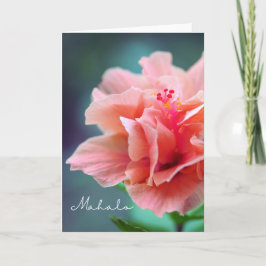 Mahalo Tack hawaiisisk Rosa Hibiscus Close-up Kort