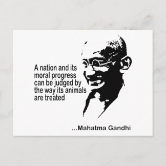 Mahatma Gandhi Animal Högers Vykort