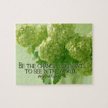 Mahatma Gandhi inspirationsoffert "må ändras"