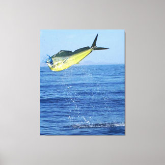 MAHI MAHI CANVASTRYCK