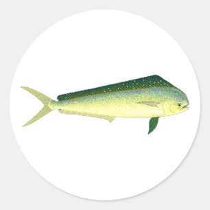 Mahi Mahi - delfinfiskkonst Runt Klistermärke