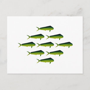 Mahi Mahi Fish - Dolphin - Dorado Vykort