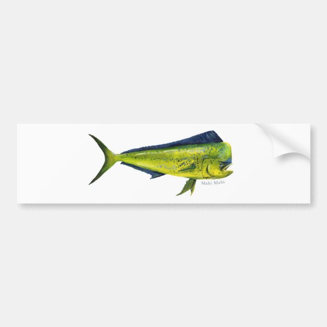 Mahi Mahi fiskbildekal Bildekal (Framsidan)