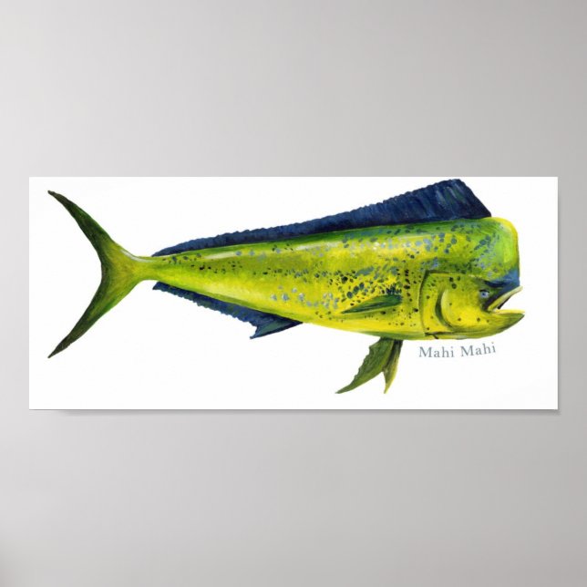 Mahi-Mahi-fisken poster (Framsidan)