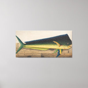 Mahi-Mahi Fiskkonst Canvastryck
