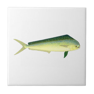 Mahi Mahi Kakelplatta