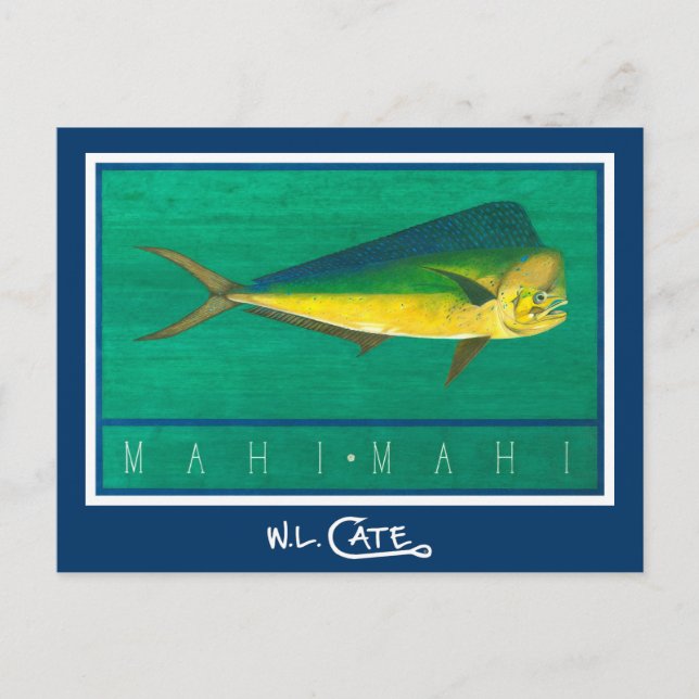 Mahi-Mahi Postcards Vykort (Framsida)