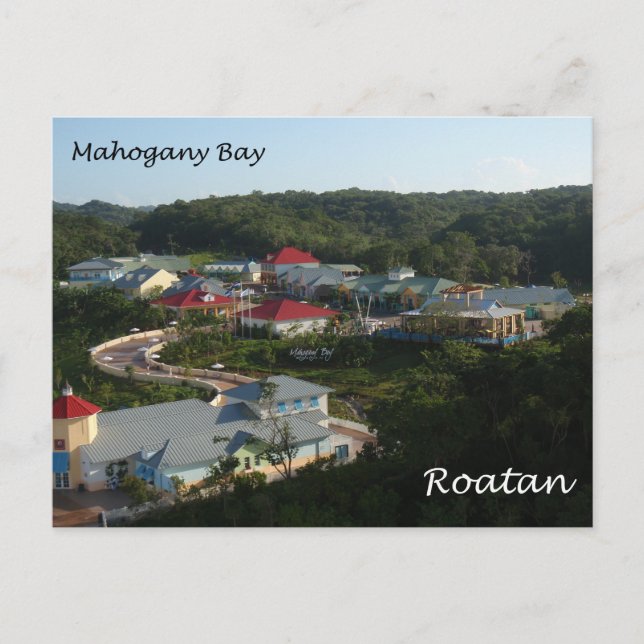 Mahognyfjärd, Roatan Vykort (Framsida)