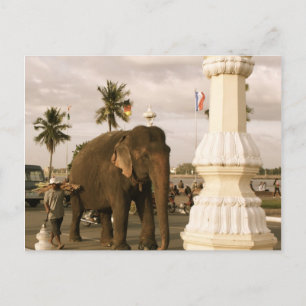 Mahout och elefant vykort