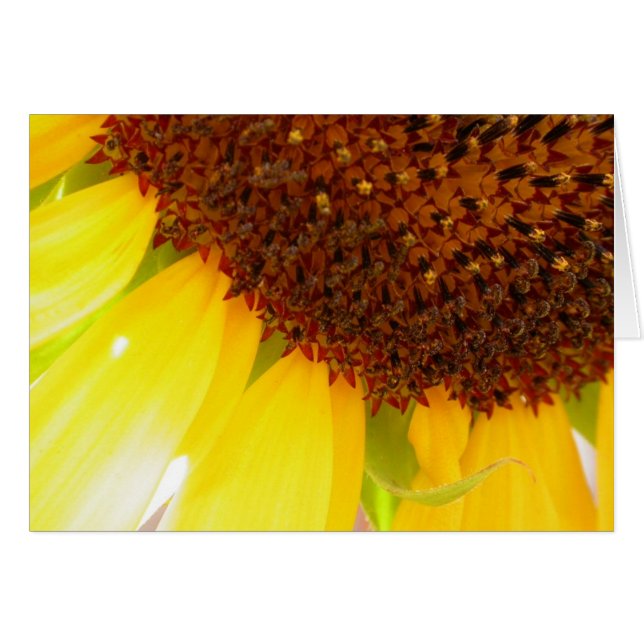 Mai Maniera Hälsningskort (Framsidan Horizontal)