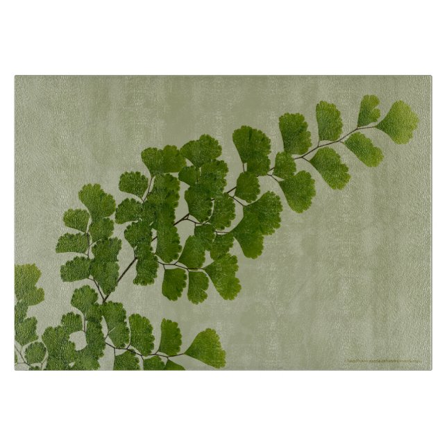 Maiden Hair Fern Frond (Framsidan)
