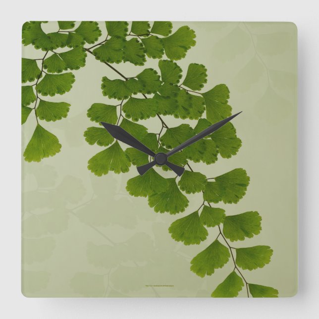 Maiden Hair Fern Frond Fyrkantig Klocka (Framsida)