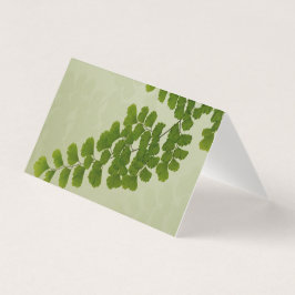Maiden Hair Fern Frond Kort