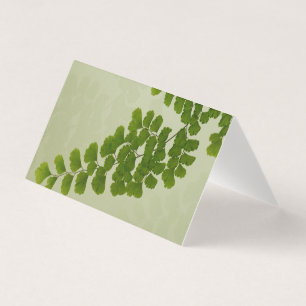 Maiden Hair Fern Frond Kort