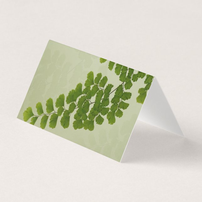 Maiden Hair Fern Frond Kort (Framsida)