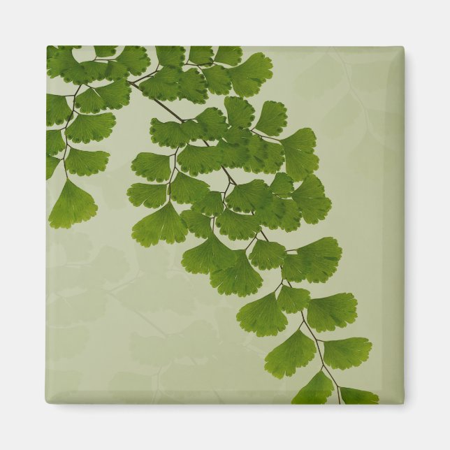 Maiden Hair Fern Frond Magnet (Framsidan)
