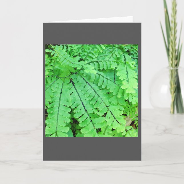 Maidenhair Fern Blank Note Card Kort (Framsida)