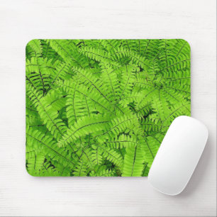 MAIDENHAIR FERN/LAGRAR AV FERN LÖVS/SWIRLED LOOK MUSMATTA