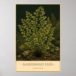 Maidenhair Fern – Vintage Botanical Illustration Poster