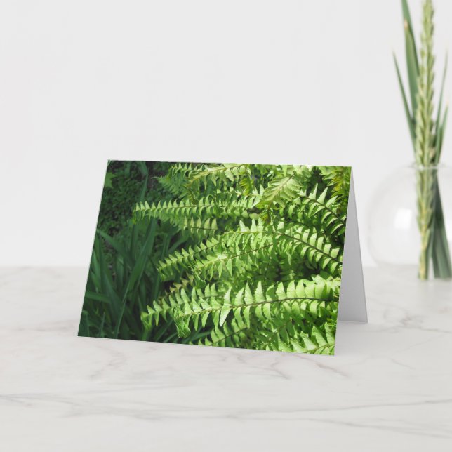 Maidenhair Ferns Fars dag Card Tack Kort (Framsida)