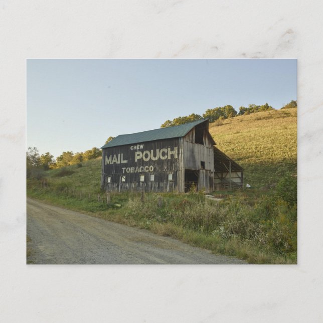 Mail Pouch Barn i Stark County, Ohio Vykort (Framsida)
