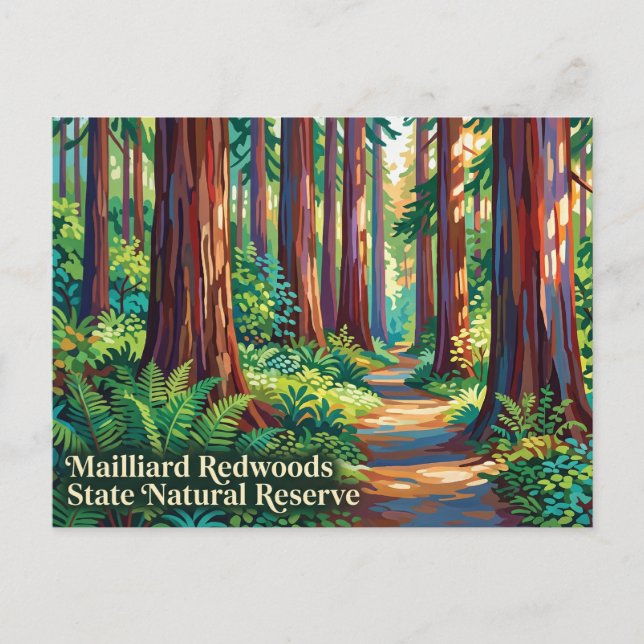 Mailliard Redwoods State Natural Reserve Vykort (Framsida)
