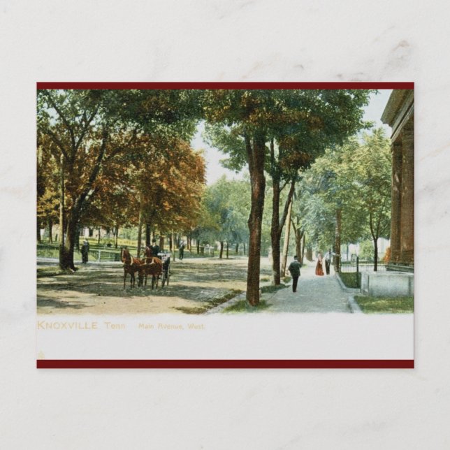 Main Ave., Knoxville TN 1909 Vintage Vykort (Framsida)