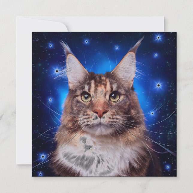 Main Coon Katt Blå Bakgrund Stjärnor Inbjudningar (Framsida)