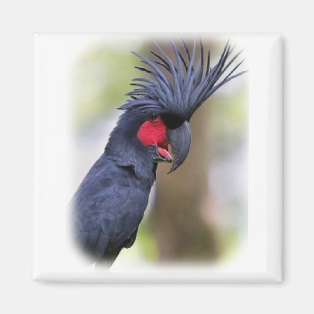 Main Handflatan COCKATOO Pet Bird Magnet (Framsidan)
