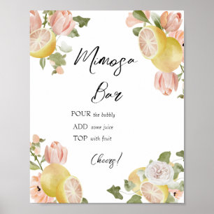 Main Squeeze Citrus Rosa blomster Mimosa Bar Poster