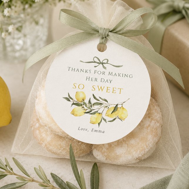 Main Squeeze Citrus Sage Bröllopsfest Gåvor Etiketter (Main Squeeze Citrus Sage Bridal Shower Favor Tags)