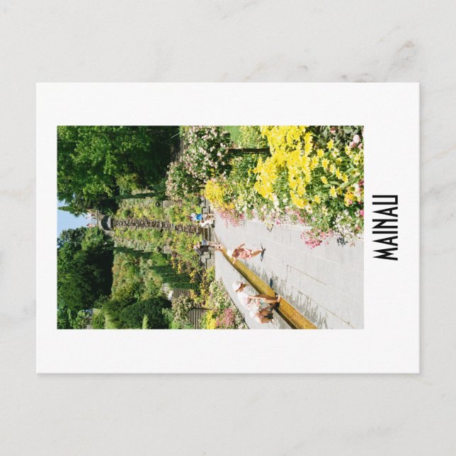 Mainau Postcard Vykort (Framsida)