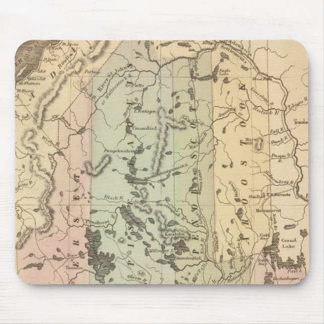 Maine 15 musmatta (Framsidan)