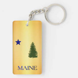 Maine (1901) flagga