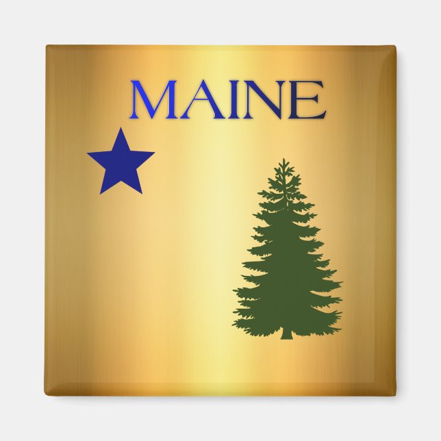 Maine (1901) flagga magnet (Framsidan)