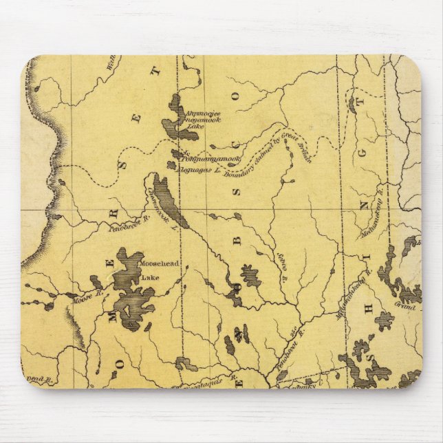 Maine 2 musmatta (Framsidan)