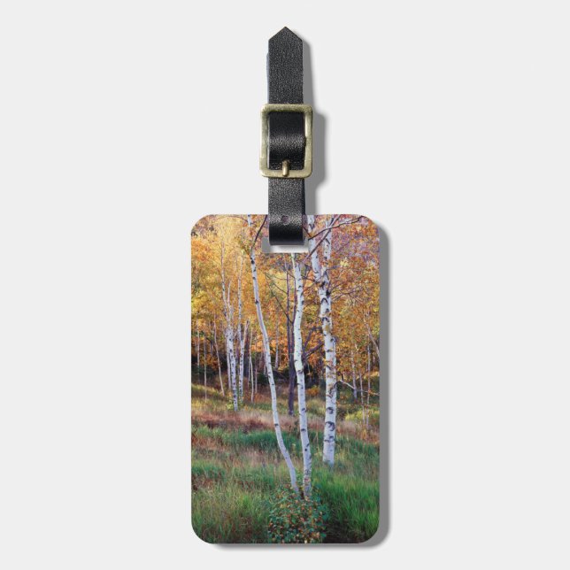 Maine, Acadia National Park, Höst Bagagebricka (Vertikal Framsida)