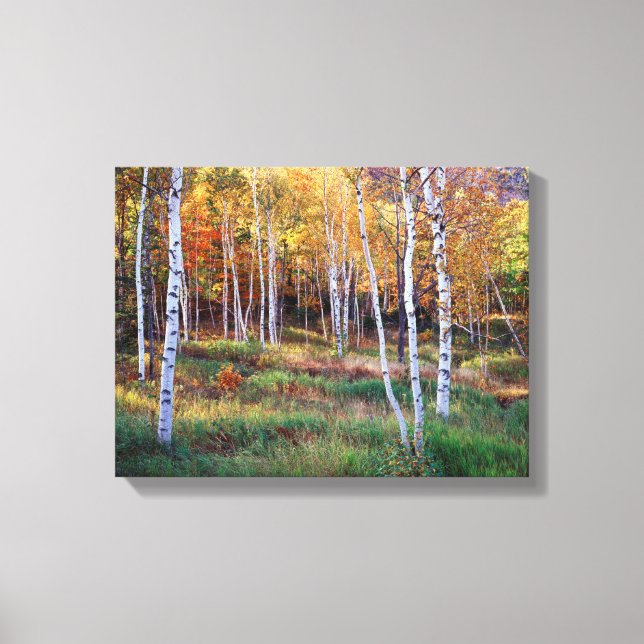 Maine, Acadia National Park, Höst Canvastryck (Framsida)